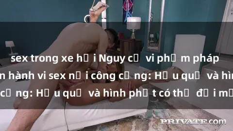 sex trong xe hơi Nguy cơ vi phạm pháp luật khi thực hiện hành vi sex nơi công cộng: Hậu quả và hình phạt có thể đối mặt